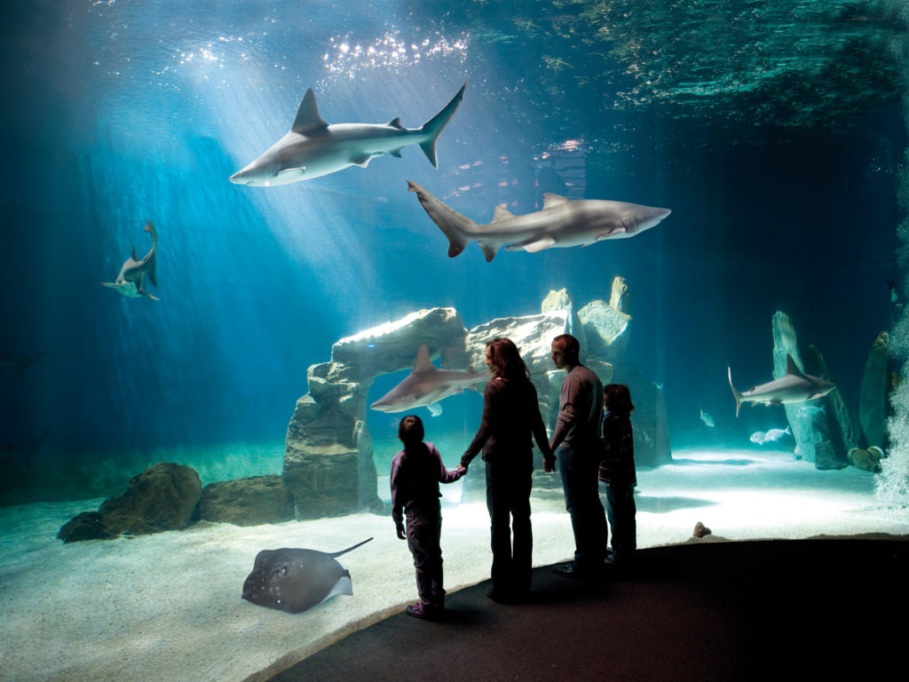 Acquario di Genova di Renzo Piano nel Porto Vecchio